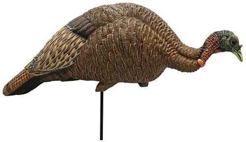 MOJO Feeder / Breeder Hen Turkey Decoy