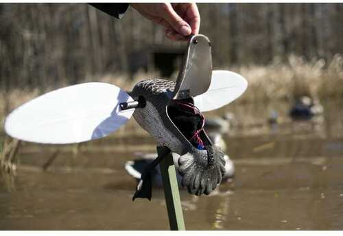 Mojo Teal Duck Decoy