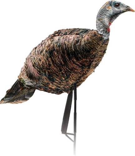 Montana Decoy Co Miss Purrfect XD Turkey Hen