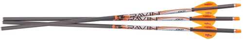 Ravin Arrows 400Gr. 3 Pk .001