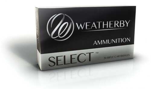 300 WBY Mag 165Gr Hornady Interlock