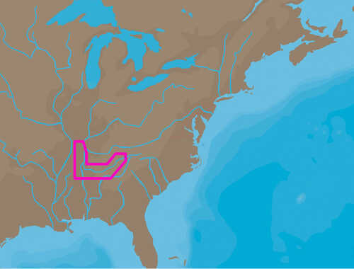 C-MAP NT+ NA-C041 - TN River Paducah-Knoxville - Furuno FP-Card