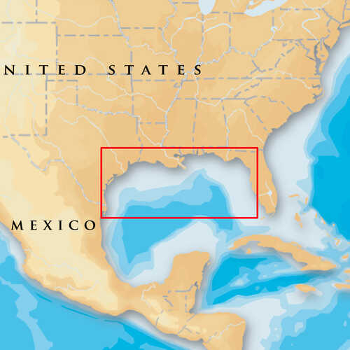 Navionics Platinum+ - Gulf Of Mexico - microSD&trade;/SD&trade;