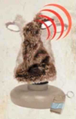 Expedite Hare Bawl Screamer With Remote