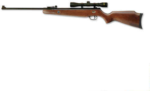 Beeman TETON Air Rifle 22 W/4X32 Scope