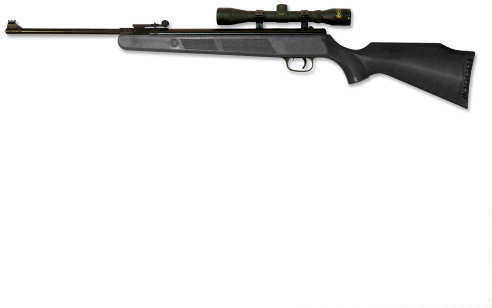 Beeman Wolverine Carbine Air Rifle .22 With 4X32 Scope