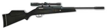 Beeman Guardian Air Rifle W/ 4X20 Scope