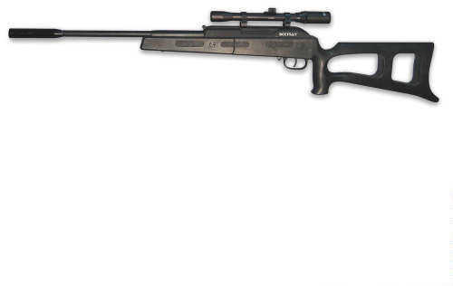 Beeman Rebel Air Rifle W/ 4X20 Scope