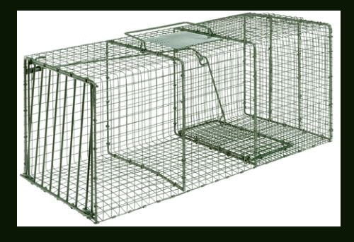 Duke HD Cage Trap 36X15X14 LRG Coon