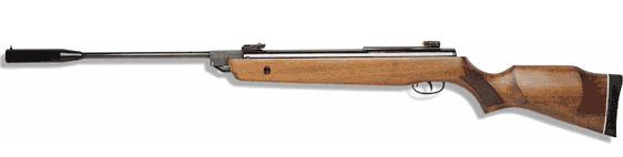 Gamo Hunter 1250 Fps 177 Air Rifle