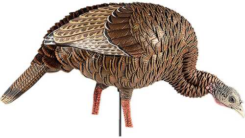 AVIAN X TURKEY DECOY HDR FEEDING HEN Model: AVX-AVX8107