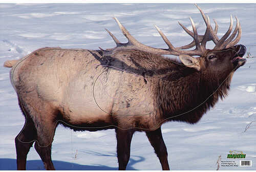 Martin Paper Targets Elk