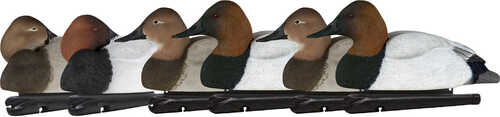 AvianX Top Flight Duck Decoys Canvasback 6 pk.