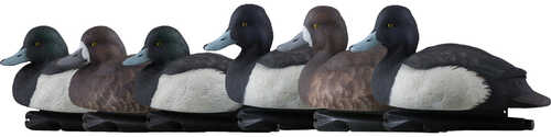 AvianX Top Flight Duck Decoys Blue Bills 6 pk.