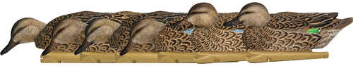 AvianX Top Flight Duck Decoys Early Season Teal 6 pk.