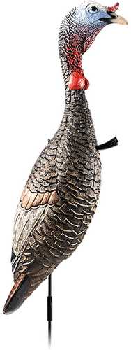 Flextone Funky Chicken Gen 2 Turkey Decoy  Model: FLXDY330