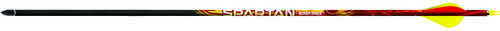 Black Eagle Spartan Arrows .001 300 Blazer Vanes 6 pk.