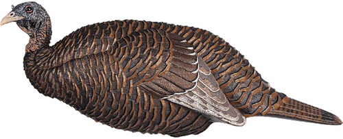 Flextone Thunder Chick Breeder Decoy  Model: FLX-FLXDY331