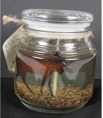 Acadian Jar Candle Moose Gel 16Oz