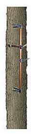 Lone Wolf Climbing Sticks 32 inch 3 pack Model CS3-3PC