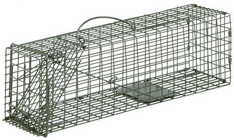 Duke Cage Trap Squirrel 16X5X5 1Dr