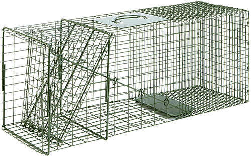 Duke Cage Trap Raccoon 32X10X12 1Dr