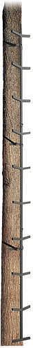 Big Dog Climbing Sticks - 16ft. 4 Section