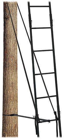 Big Dog 5' Concealment Ladder Extension Kit 2010 Ladders