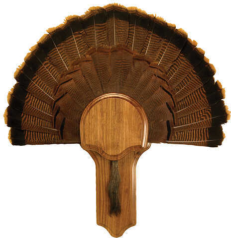 Walnut Hollow Deluxe Turkey Display Kit