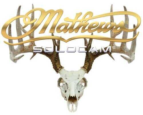 DWD Mathews Decal Solocam Skull Gold 10x8 in. Model: 70795S