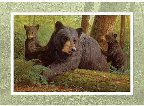 Reflective Art Note Cards - Bearly Keeping Up Whitetail