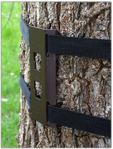 Stakeout Strap-It Tree Camera Mount