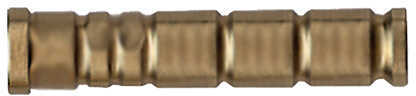 Gold Tip .246 Inserts Brass 100 gr. 12 pk. Model: INS246100BR12