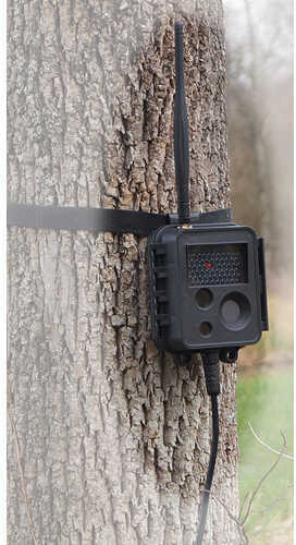 Buckeye X7D Wireless Game Camera 5.0MP Up To 1 Mile