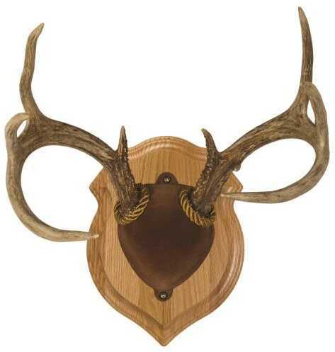 Walnut Hollow Deluxe Antler Display Kit Oak Model: 40755