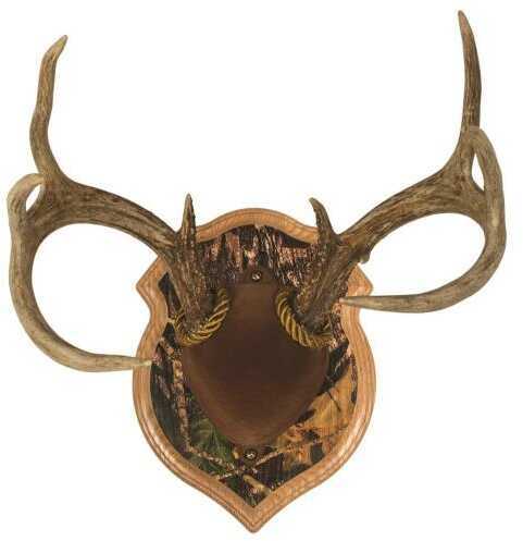 Walnut Hollow Deluxe Antler Display Kit Camo Model: 40591