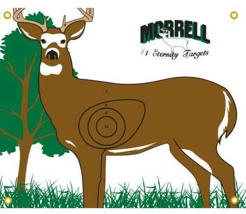 Morrell Polypropylene Target Face NASP/IBO Whitetail Model: 803