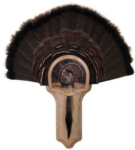 Walnut Hollow Deluxe Turkey Display Kit Oak Model: 40325