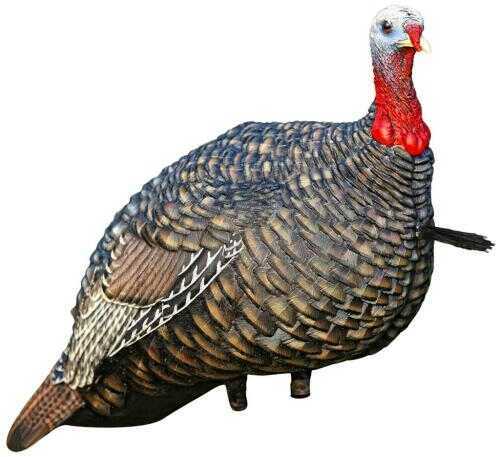 Avian X AVXAVX8003 Lcd Quarter-Strut Jake Turkey Species Multi Color Dura-Rubber