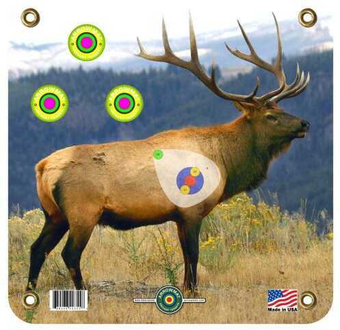 Arrowmat XL Foam Target Face Elk 34x34 in. Model: AMEK34