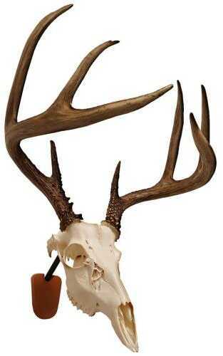 Walnut Hollow Euro Skull Mount Kit Model: 41852