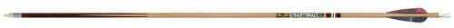 Gold Tip Traditional Classic Arrows 600 4 in. Feathers 6 pk Model: CLASSIC600F6