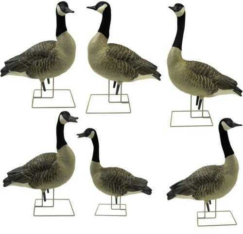 Avian X AXP Goose Decoys Fusion Honker 6 pk. Model: 9006