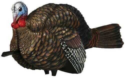 Avian X AVX-AVX8012 Lcd Half-Strut Jake Turkey Species Multi Color Dura-Rubber