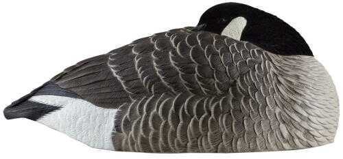 Avian X Canada Sleeper Shells 6 pk. Model: 9011