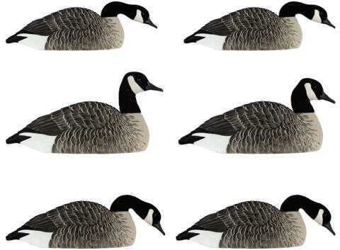 Avian X Honker Shell Decoys 6 pk. Model: 9010