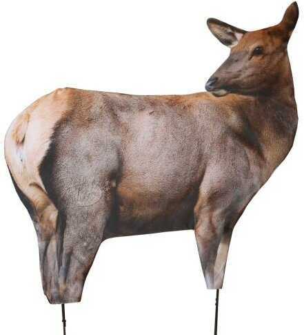 Montana Decoy Elk Rocky Mountain Foundation Model: 0064