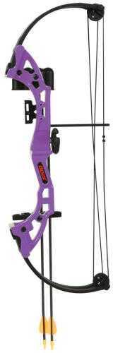 Bear Brave Bow Set Purple 13.5-19in. 15-25lbs. RH Model: AYS3000PL