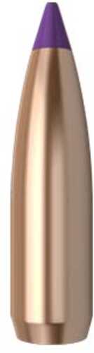 Nosler Spitzer Varmint Ballistic Tip 6MM Caliber 80 Grain 100/Box Md: 24080 Bullets