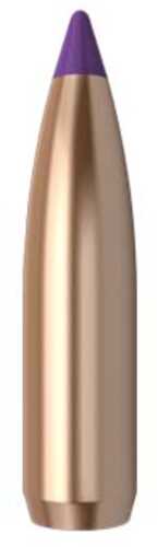 Nosler Spitzer Hunting Ballistic Tip 6MM Caliber 90 Grain 50/Box Md: 24090 Bullets